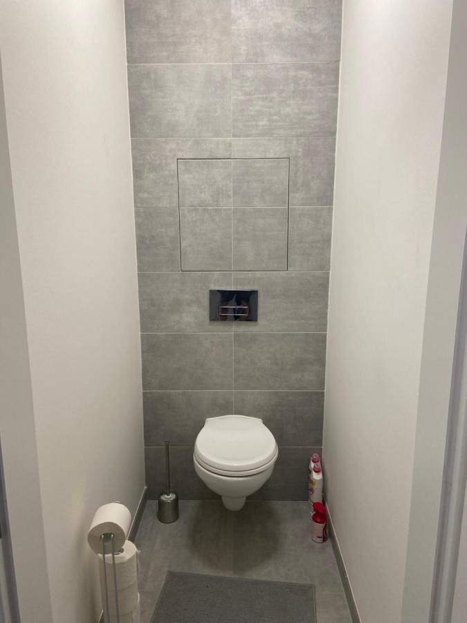 リベレツHorsky Apartman Pod Jestedemアパートメント エクステリア 写真