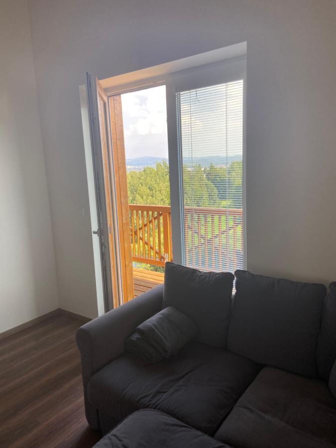 リベレツHorsky Apartman Pod Jestedemアパートメント エクステリア 写真