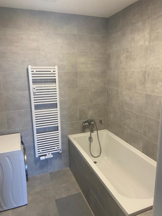 リベレツHorsky Apartman Pod Jestedemアパートメント エクステリア 写真