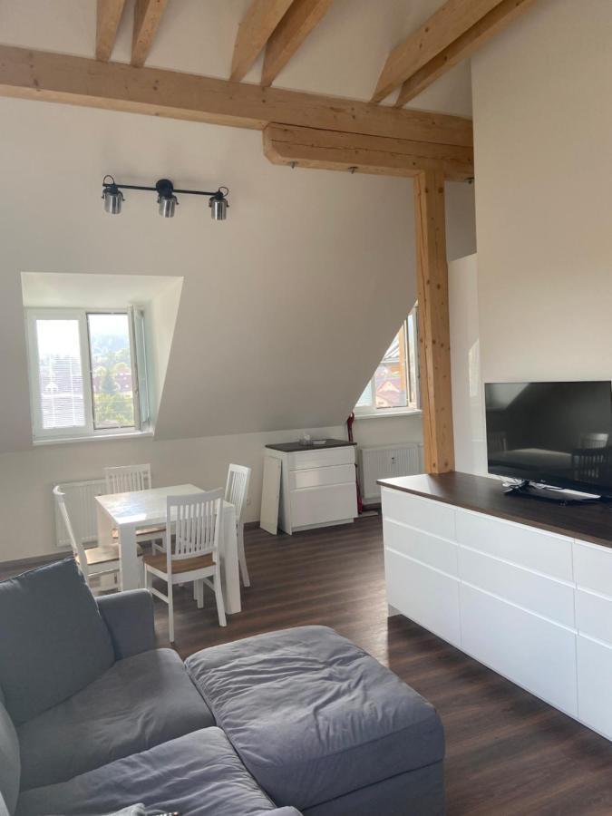 リベレツHorsky Apartman Pod Jestedemアパートメント エクステリア 写真